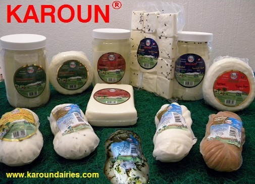 Karoun Cheese USA